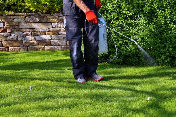 Pest Control for Hotels in Beloit, OH